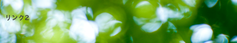 リンク3