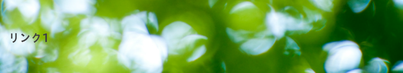 リンク1